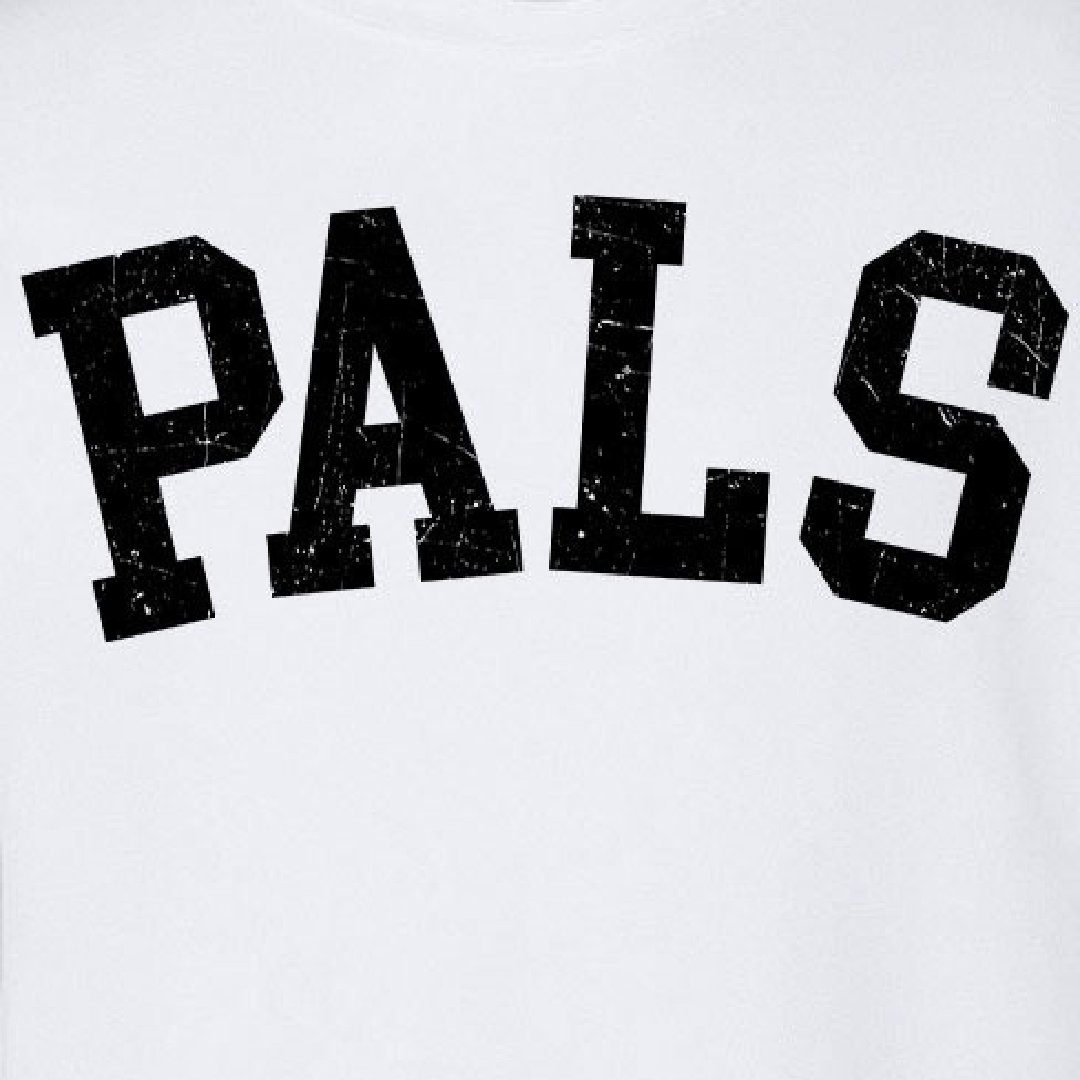 PALS Block