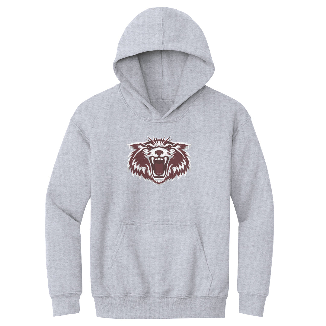 Youth Hoodie Plano Wildcat 2600