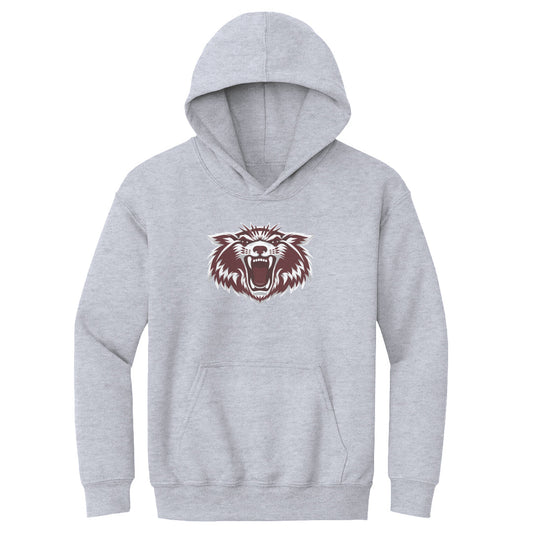 Youth Hoodie Plano Wildcat 2600