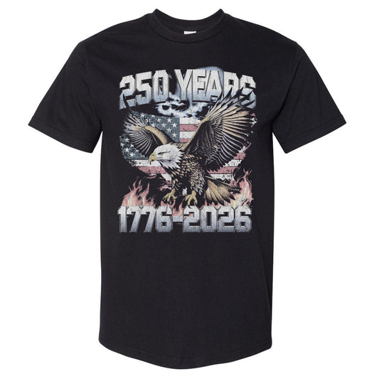 Adult Oversized Tee USA America 250 Years Eagle Flag WHT